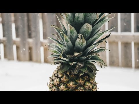 Cheat Codes & DVBBS- I Love It (neutral. Remix)