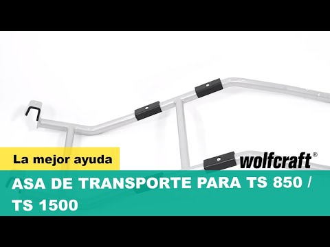 5528000_TS-Carrying-Handle_PRO_MCP_es_2017.mp4