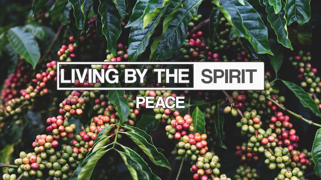 Peace | Mike Brogen