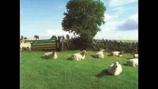 The KLF - Wichita Lineman Was a Song I Once Heard