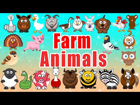 Farm Animal Sounds | Farm Animals for Toddlers | LittleKidsTV