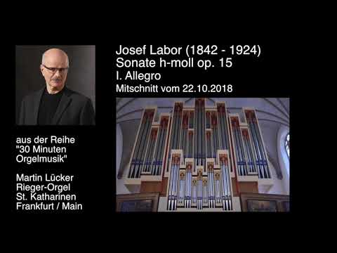 J. Labor: Sonate h-moll op. 15, Allegro - Martin Lücker