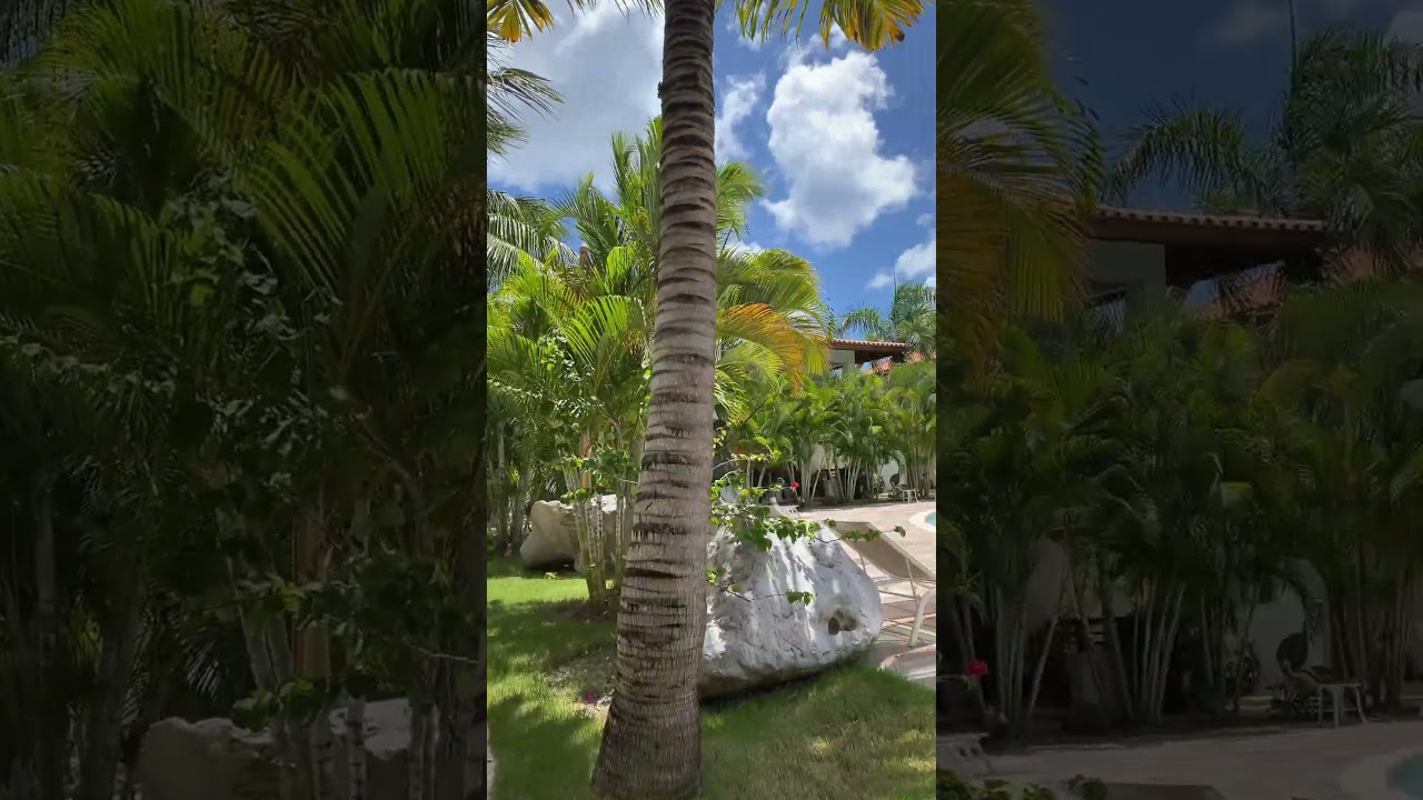 Paraiso Bayahibe Piscina vd 2