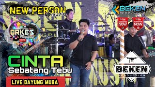 Download lagu New Person Music | Cinta Sebatang Tebu | Live Pangkalan Bulian Dayung MUBA | Beken Production mp3