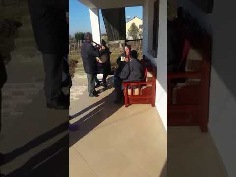 Qani Viktor kristaq aleksi