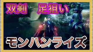 モンハンライズ　双剣　足狙い　タマミツネ　#Shorts