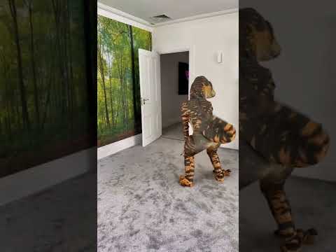 Jurassic world dinosaur shows