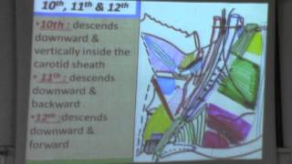 [Neck]DR.Sherif Zaki (Last 4 cranial nerves)10-12-2015