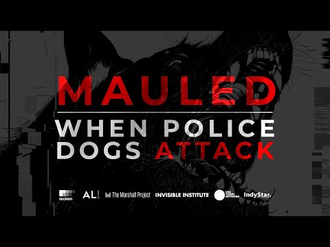 A Dog Can Be Trained to Be Anti-Black video thumbnail