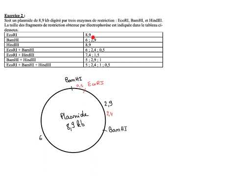 restriction map exercise 2