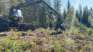 Ponsse Scorpion 8W harvester | Image 4 - Agroline