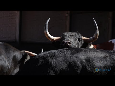 SORTEO | Puerto de San Lorenzo, corrida toros 23 mayo