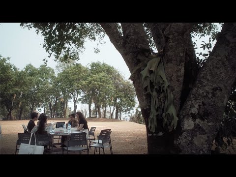 LOKALT Collection | Modern design meets traditional craft