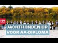 Na meer dan tien jaar weer Nederlands Kampioenschap Jachthonden in Drenthe | RTV Drenthe
