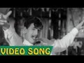 Kumari Penn Movie Video Song