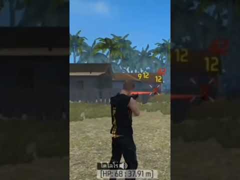 โปรฟีฟาย