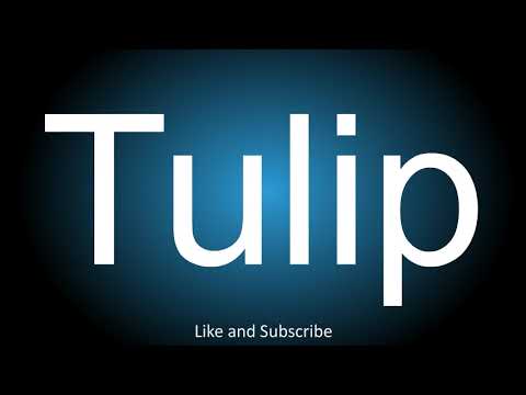 How to correctly pronounce in American and British English - Tulip.
