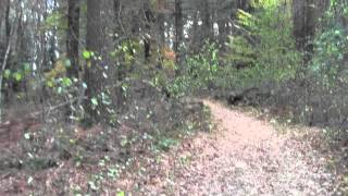 preview picture of video 'Bay Circuit Trail: Ipswich MA Willowdale State Forest Part 3.'