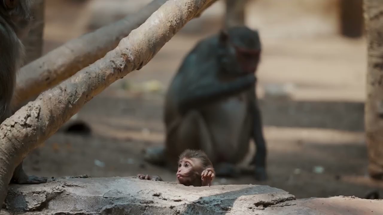 Regenerating Nature - Dubai Future Forum