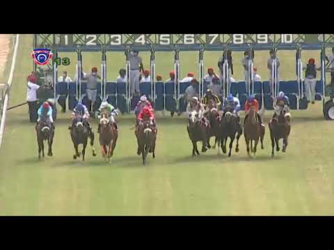 RM1 R3 | Kamadeva | D.David