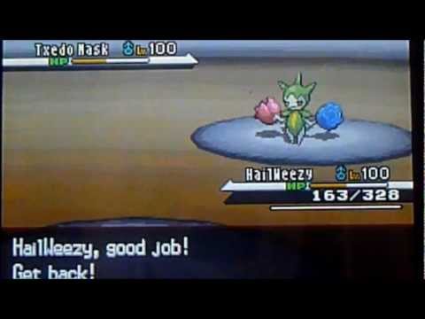 Moltres: Too...Much...Power! (PM vs TributeJr)