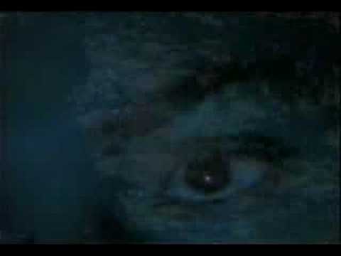 Video thumbnail for Acid, Bitter and Sad