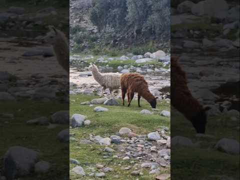 Visitando un nuevo rincón de Nogolí, en la provincia de San Luis. Amigos, Paisajes y Naturaleza 🇦🇷