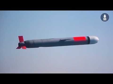 Raytheon Tomahawk Block V, Kongsberg Naval Strike Missile, BAE Systems C-UAS