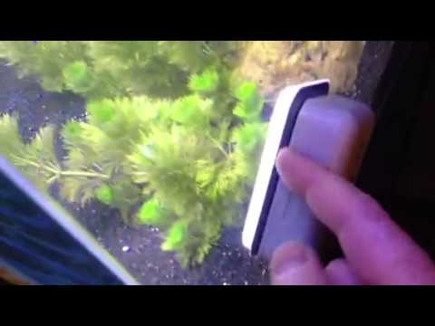 Watch Video on YouTube