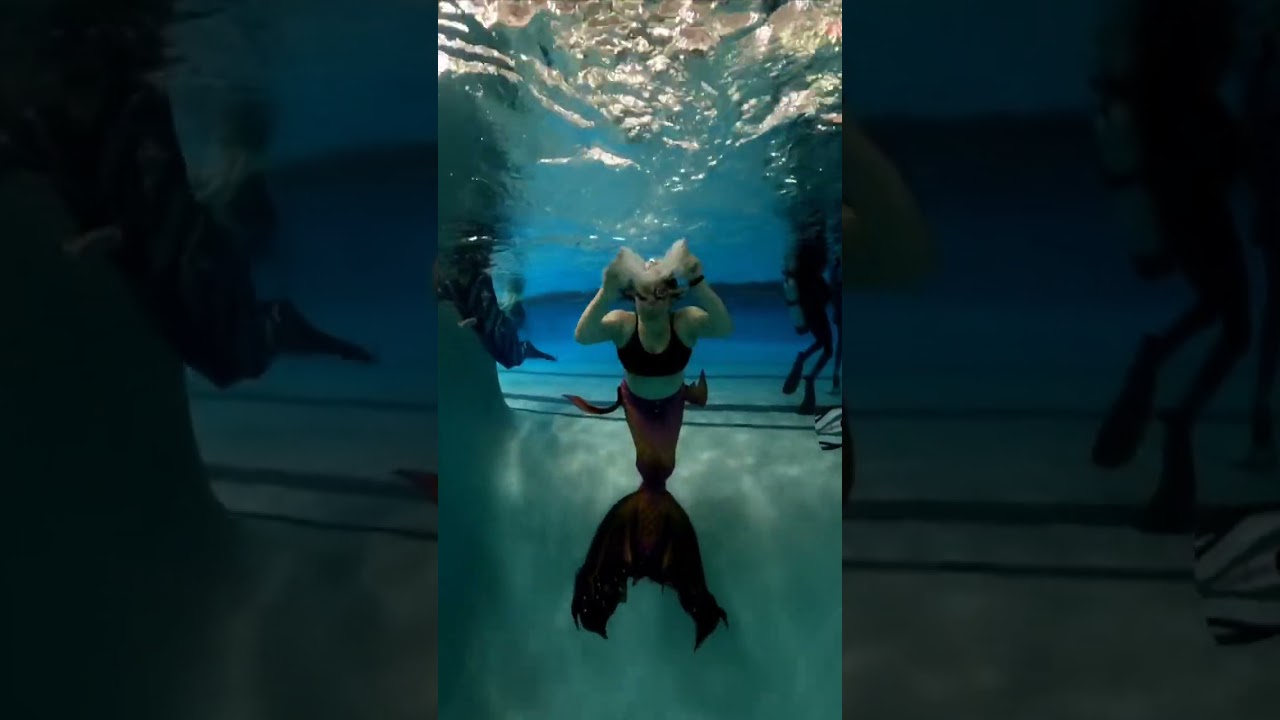 Promotional video thumbnail 4 for Mermaid Zippy