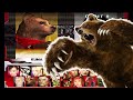 TAS Tekken3 KUMA 철권3 쿠마 鉄拳3 クマ PS1