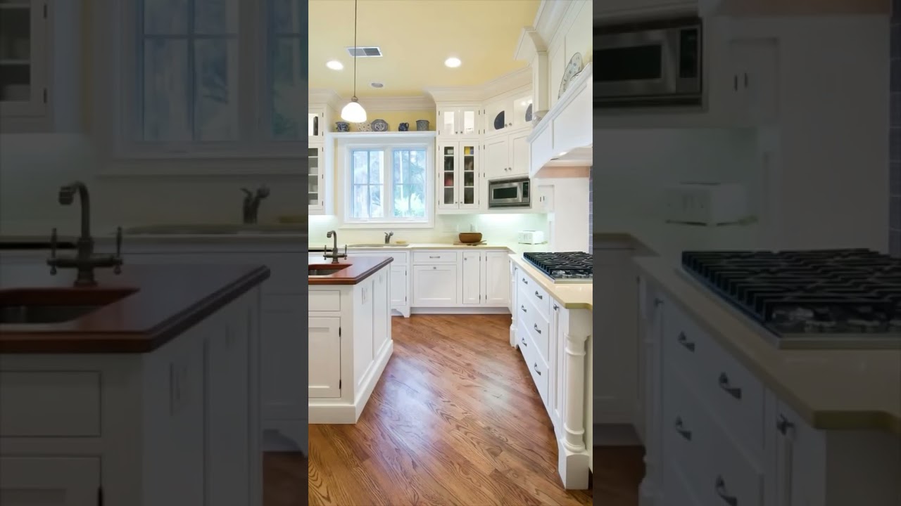 Mildew vs Mold: Do you know the differences?