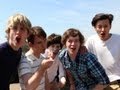 What Makes You Beautiful - One Direction Parody ...
