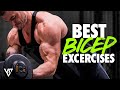 5 BEST BICEP EXERCISES FOR BIGGER ARMS