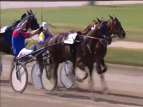 Trotto 30/04/2018 - 5ª corsa