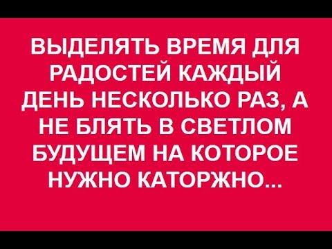 ДЕЛОВАЯ ДИСЦИПЛИНА ИЗ ПОД ПАЛКИ И КАЖДЫЙ ДЕНЬ 26.12.2017.