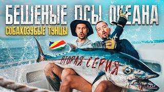 Sport Fishing Seychelles with Tight Line Fishing