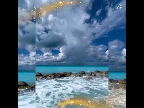 Beautiful Life ~❤️~🎶#shorts #wonderfulbeach  #sherineabdelwahab