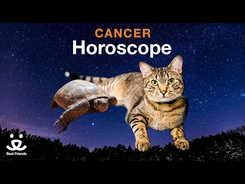 Cancer Horoscope | Cat with Tortoise Rising