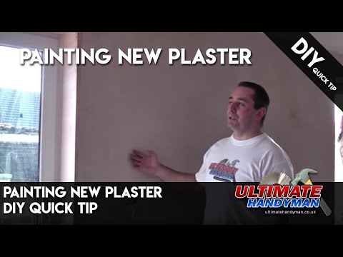 Painting new plaster | ultimatehandyman | DIY tips