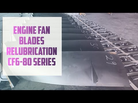 See How Quick & Easy Engine [CF6-80] Fan Blade Relubrication Can Be! | Aviation Daily|ATA Chapter 72