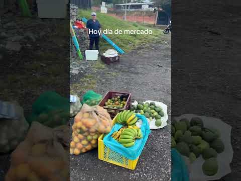 Hoy día de mercado en Barbosa Santander #el campo