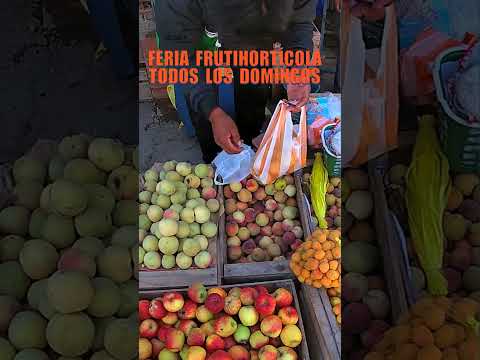 COTAGAITA TIERRA DE LA CHASKAÑAWI-FERIA FRUTIHORTÍCOLA TODOS LOS DOMINGOS #cotagaita