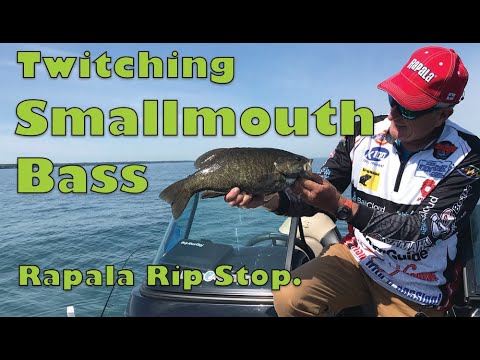 Csf 33 04 Twitching Smallmouth tips & action.