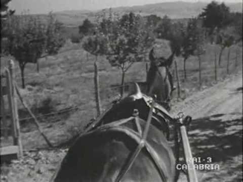 Viaggio in Sila - Documentario Raitre Calabria -  Parte I/a