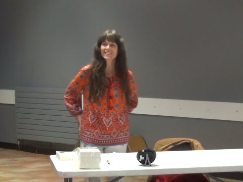 La phénoménologie, une auto-compréhension de la conscience – Annick Stevens