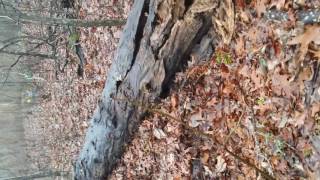 Morrisville Alabama visiting John Seger's old Grave Site