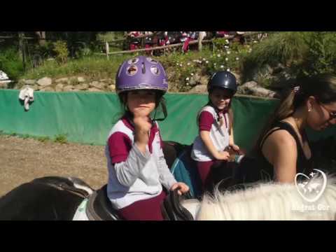 Sagrat Cor Diputació Curs 2017-18. P4 Poni Club