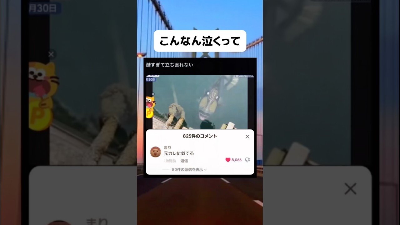 これは泣けるね#おもしろ