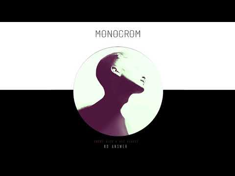 Andre Rizo & Ale Blaake - No Answer (Original Mix)